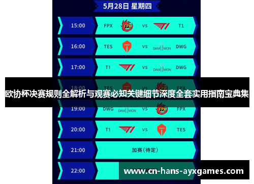 欧协杯决赛规则全解析与观赛必知关键细节深度全套实用指南宝典集