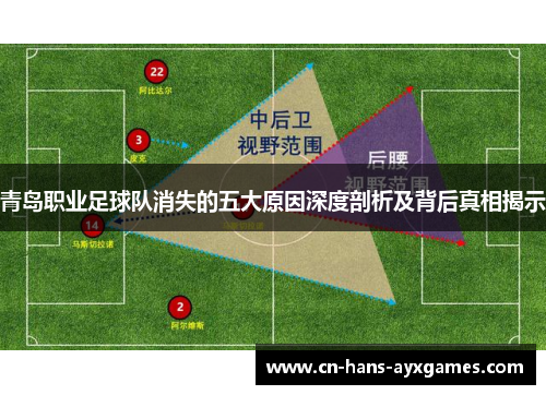 青岛职业足球队消失的五大原因深度剖析及背后真相揭示