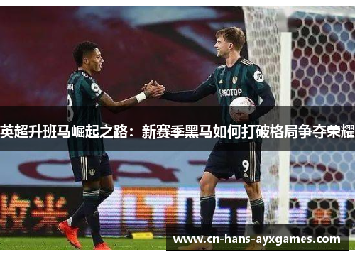 英超升班马崛起之路：新赛季黑马如何打破格局争夺荣耀