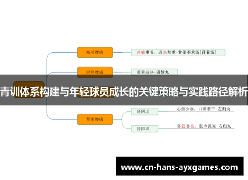 青训体系构建与年轻球员成长的关键策略与实践路径解析 青训体系构建与年轻球员成长的关键策略与实践路径解析