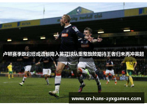 卢顿赛季跌宕终成遗憾降入英冠球队重整旗鼓期待王者归来再冲英超